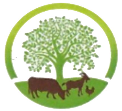 EL -DARL FARMS_favicon